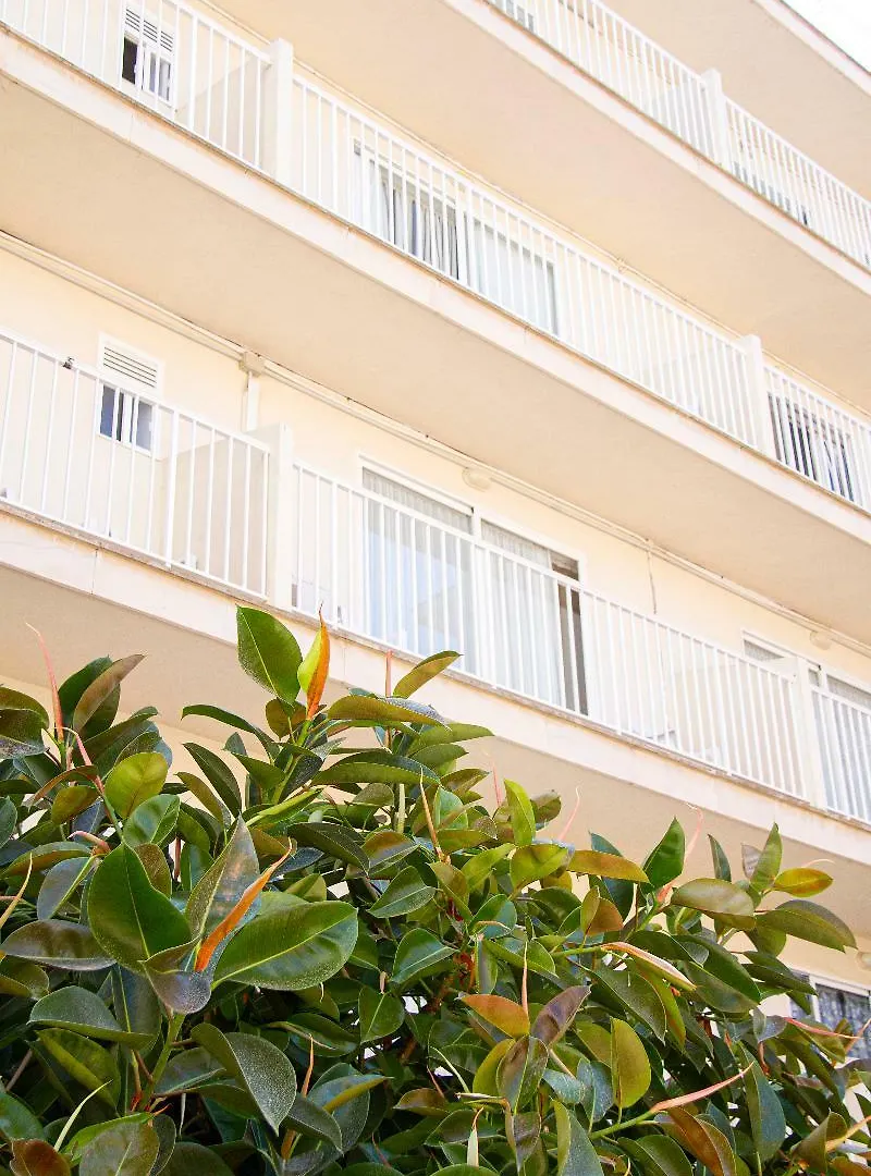 Hotel Selva Arenal El Arenal  El Arenal (Mallorca)